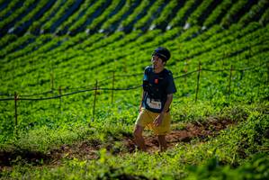 BIB: 
                            <button type="button" onclick="openModal(19160978)" class="btn btn-primary btn-sm float-right btn-popup" data-toggle="modal" data-target=".modal-high-quality">
                        <i class="fas fa-shopping-cart"></i> Add to Cart
                    </button>
                                            <button type="button" onclick="isThisMe(19160978, true)" class="btn btn-success btn-sm float-right btn-popup btn-isme hidden" data-toggle="tooltip" data-placement="bottom" title="นี่คือรูปของคุณใช่ไหม คลิกที่นี่เพื่อเอาเข้าอัลบั้ม">
                        <i class="fas fa-plus"></i> Add to album
                    </button>
                    <button type="button" onclick="isThisMe(19160978, false)" class="btn btn-warning btn-sm float-right btn-popup btn-isnotme hidden">
                        <i class="fas fa-ban"></i> Remove from album
                    </button>